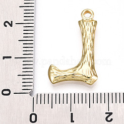 304 Stainless Steel Pendants&nbsp;LS-STAS-N117-01G-L