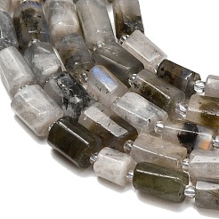 Natural Labradorite Beads Strands&nbsp;G-F836-B06-01