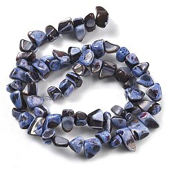 Dyed Natural Trochus Shell Beads Strands&nbsp;BSHE-Z006-01C