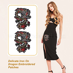 Polyester & Cotton Embroidery Appliques&nbsp;PATC-WH0012-16