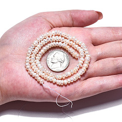 Natural Cultured Freshwater Pearl Beads Strands&nbsp;PEAR-N015-04B