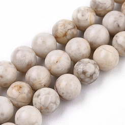 Natural Maifanite/Maifan Stone Beads Strands&nbsp;G-I187-6mm-01