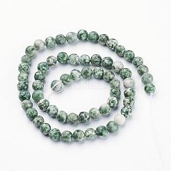 Gemstone Beads Strands&nbsp;GSR6mmC006