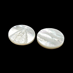 Carved Natural White Shell Cabochons&nbsp;SSHEL-N038-06B-02
