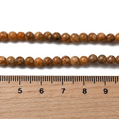 Natural Maifanite/Maifan Stone Beads Strands&nbsp;G-P451-01C-B