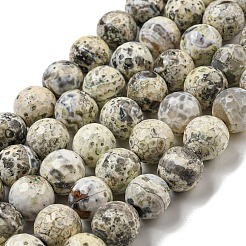 Faceted Natural Fire Crackle Agate Beads Strands&nbsp;G-F447-12mm-H03
