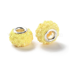 AB Color Resin Rose Flower European Beads&nbsp;RESI-M001-05F