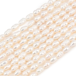 天然養殖淡水パールビーズ連売り  ライス  グレードA +  パパイヤホイップ  3~4mm  穴：0.4mm  約62~80個/連  14.37~14.57''（36.5~37センチメートル）&nbsp;PEAR-F020-08