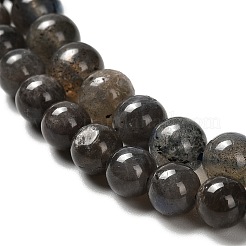 Natural Black Labradorite Beads Strands&nbsp;G-C205-A01-6mm