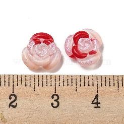 Luminous Transparent Resin Decoden Cabochons&nbsp;RESI-D013-06A