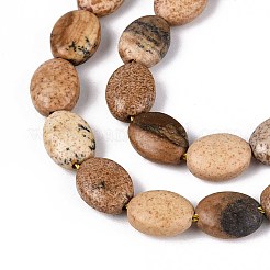 Natural Picture Jasper Beads Strands&nbsp;G-T142-30