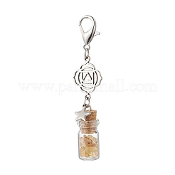 Chakra Natural Lapis Lazuli & Amethyst & Carnelian & Citrine & Garnet & Green Aventurine & Synthetic Turquoise Chips inside Glass Wishing Bottle Pendant Decoration&nbsp;HJEW-JM03308