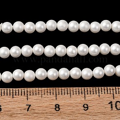 ラウンドシェルパールビーズ連売り  マット面  乳白色  4mm  穴：0.8mm  約103個/連  15.74インチ&nbsp;BSHE-L011-4mm-A013A