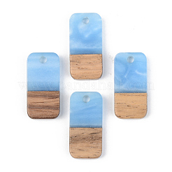 Resin & Walnut Wood Pendants&nbsp;RESI-S389-044A