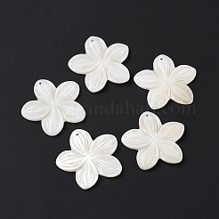Natural Freshwater Shell Pendants&nbsp;SSHEL-C011-04