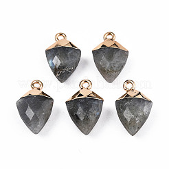 Natural Labradorite Pendants&nbsp;G-N326-134-03