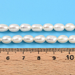 Natural Cultured Freshwater Pearl Beads Strands&nbsp;PEAR-N012-05N