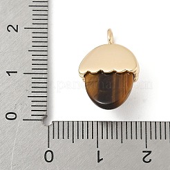 天然石タイガーアイペンダント  真鍮のどんぐりチャーム  ゴールドカラー  20x12.5x7mm  穴：3mm&nbsp;X-KK-Z107-02G-02