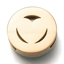 304 Stainless Steel Slide Charms&nbsp;STAS-P270-05G-01