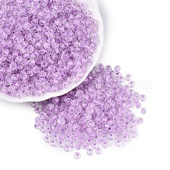 FGB Grade A Transparent Glass Seed Beads&nbsp;SEED-Q040-03A-05