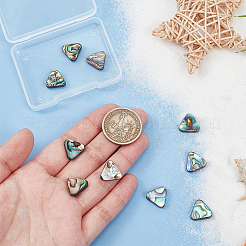天然アワビ貝/パウア貝ビーズ 10個  三角形  13x14.5x3.5mm  穴：1mm&nbsp;SSHEL-BC0001-29