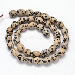 Oval Natural Dalmatian Jasper Bead Strands&nbsp;G-P106-15