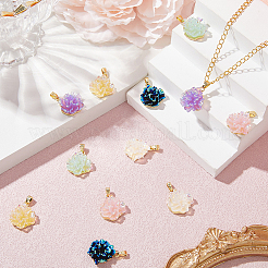 12色UVメッキ真鍮ペンダント6個  花  樹脂と  虹色の  ラックめっき  長持ちメッキ  鉛フリー＆カドミウムフリー  18KGP本金メッキ  ミックスカラー  18x16x8mm  穴：5x2mm  2個/カラー&nbsp;KK-BBC0018-81