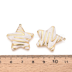 304 Stainless Steel & Enamel Pendants&nbsp;STAS-T073-60A-G