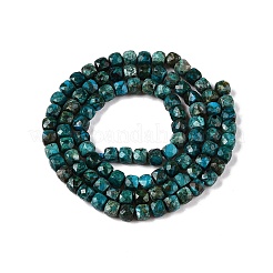 Natural Chrysocolla Beads Strands&nbsp;G-N342-117