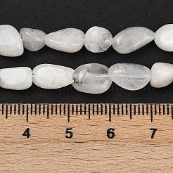 Natural Rainbow Moonstone Beads Strands&nbsp;G-G018-48-01