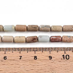 Natural Shoushan Stone Beads Strands&nbsp;G-N346-01A-07