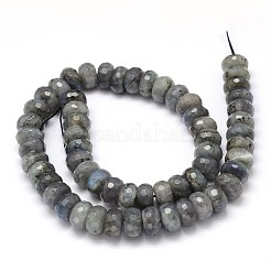 天然ラブラドライトのロンデルビーズ連売り  多面カット  16x9mm  穴：1mm  約41個/連  15.6インチ&nbsp;G-O095-05-G