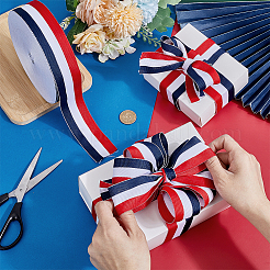 Polyester Grosgrain Ribbon&nbsp;OCOR-WH0111-07A