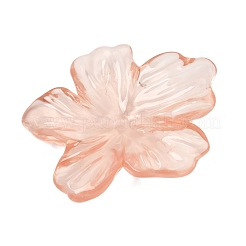 Transparent Resin Cabochons&nbsp;RE-CBAEB2B-01A