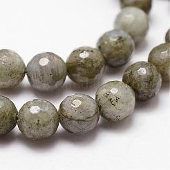 Natural Labradorite Beads Strands&nbsp;G-D840-10-8mm