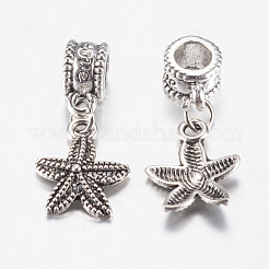 Tibetan Style Alloy European Dangle Charms&nbsp;PALLOY-F199-42AS