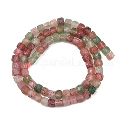 Natural Red and Green Strawberry Quartz Beads Strands&nbsp;GG-NH0006-A01