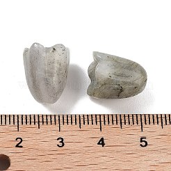 天然石ラブラドライトビーズ  花  15x12mm  穴：1.6mm&nbsp;G-A222-03G