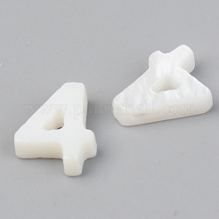 Natural Freshwater Shell Beads&nbsp;LS-SSHEL-R048-005-04