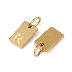 304 Stainless Steel Charms&nbsp;STAS-Z143-01G