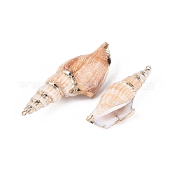 Electroplate Natural Sea Shell Big Pendants&nbsp;SSHEL-Q100-21KCG
