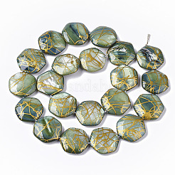 Drawbench Freshwater Shell Beads Strands&nbsp;X-SHEL-T014-013E