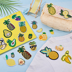 Polyester with Rayon Embroidery Iron on/Sew on Patches&nbsp;PATC-WH0024-028A