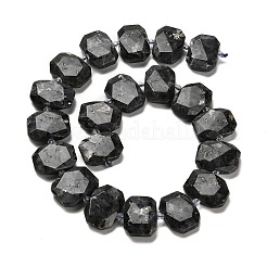 Natural Larvikite Beads Strands&nbsp;G-H078-B06-01
