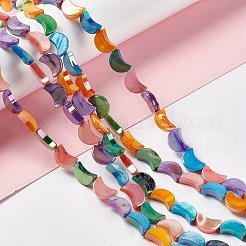 天然淡水シェルビーズ連売り  染め  ムーン  カラフル  10x7.5x3mm  穴：0.6mm  約32個/連  12.80インチ（32.5cm）&nbsp;SHEL-F003-04