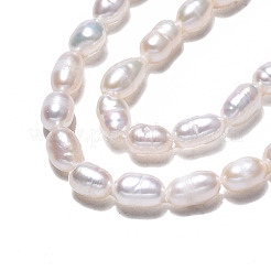 Natural Cultured Freshwater Pearl Beads Strands&nbsp;PEAR-N012-03D