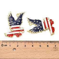 Independence Day Alloy Enamel Pendants&nbsp;ENAM-G229-06G-01