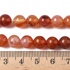 Natural Fire Crackle Agate Beads Strands&nbsp;G-G212-8mm-10