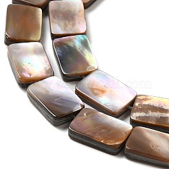 Natural Sea Shell Beads Strands&nbsp;SHEL-K006-21