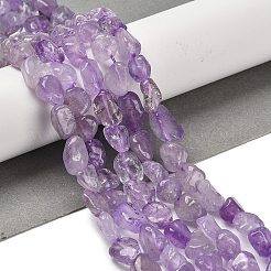 Natural Amethyst Beads Strands&nbsp;G-P497-01E-21